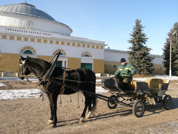 Хреновский конезавод3